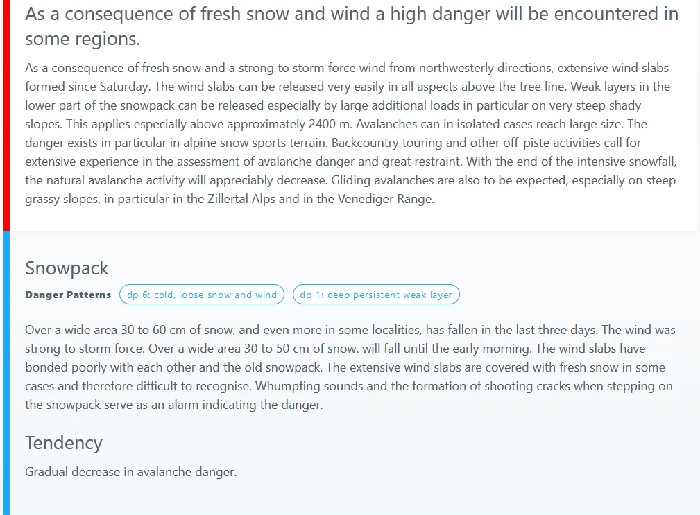 Danger assessment and snowpack analysis are provided as a
          text. They form the lower part of the Information Pyramid. In addition,
          information about the predominant danger pattern and the immediate
          outlook is also provided.